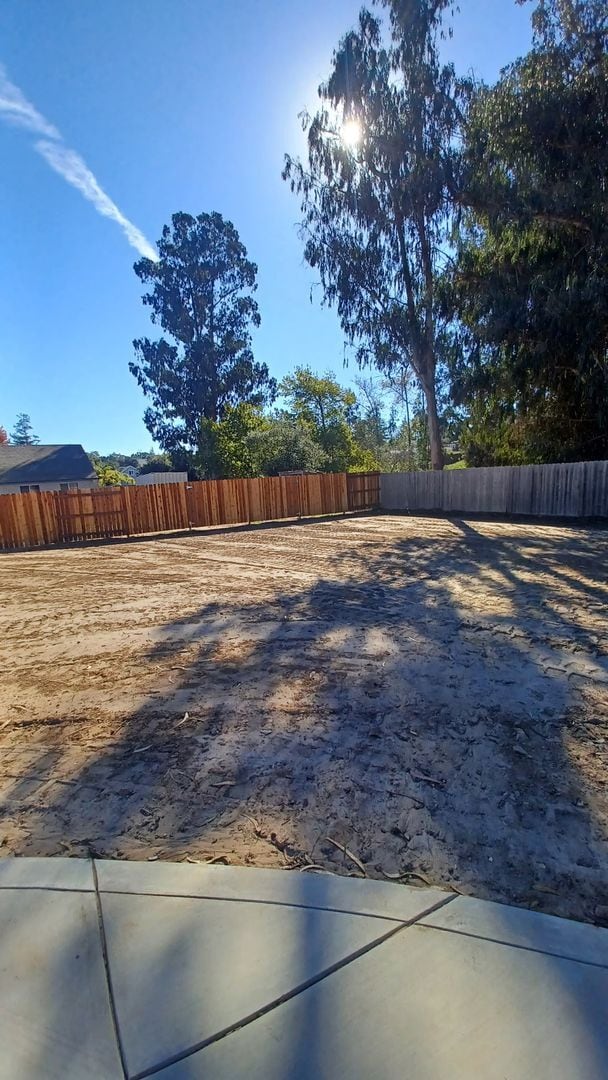 Building Photo - Modern 2 Bed/1 Bath Home, All Utilities In...