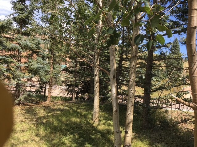 Building Photo - 114 N 4th St