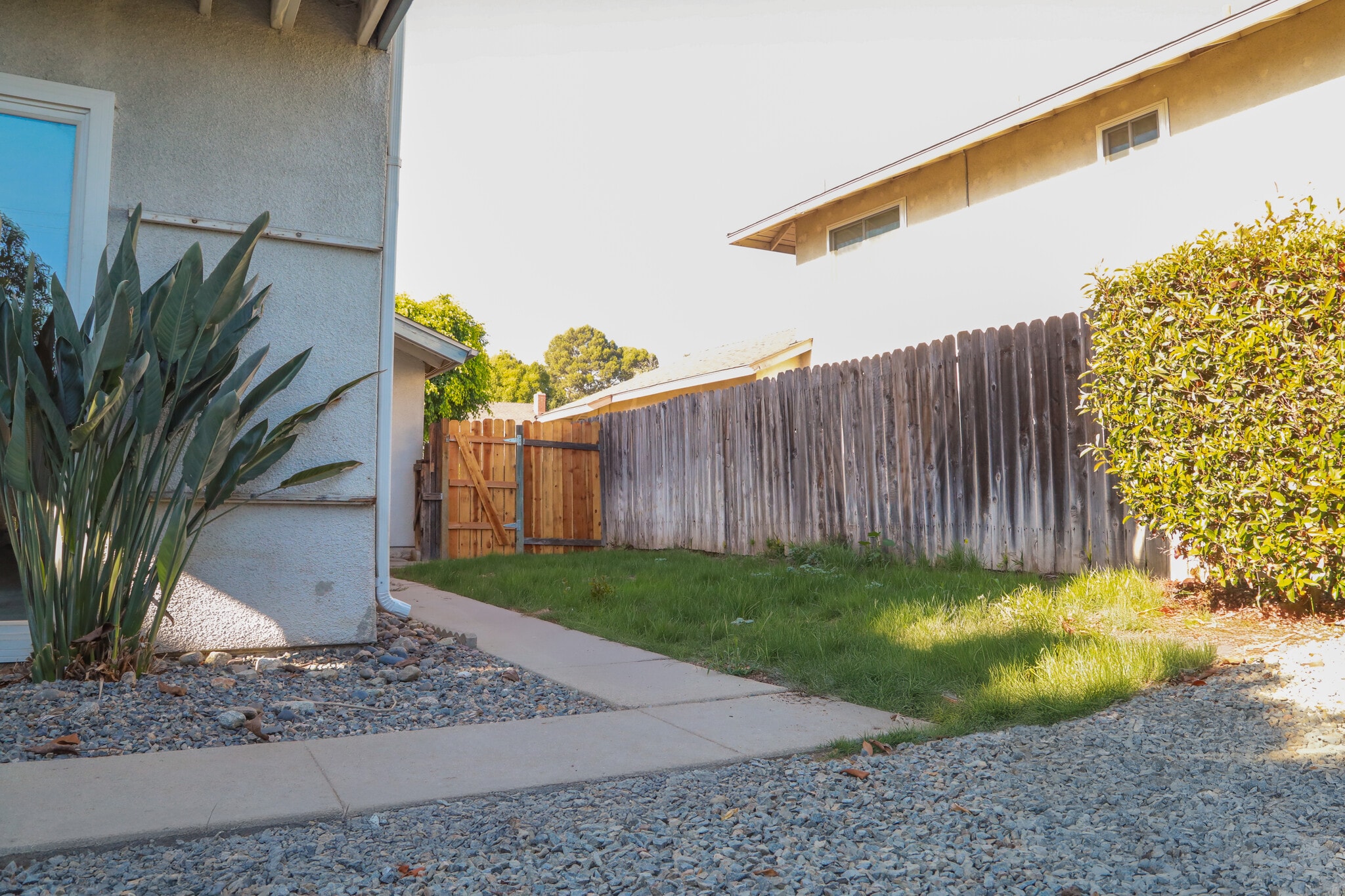Side yard - 646 Buttonwood Dr