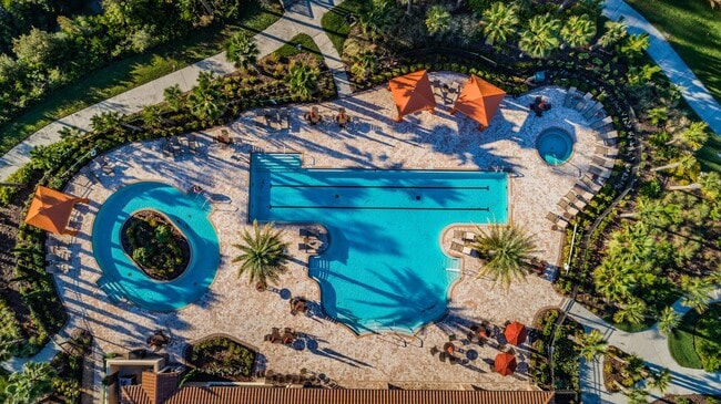 Building Photo - Beautiful Pool home in Starkey Ranch avail...