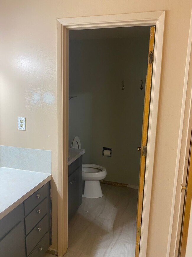 Building Photo - Large 3 bedroom 3 bath home