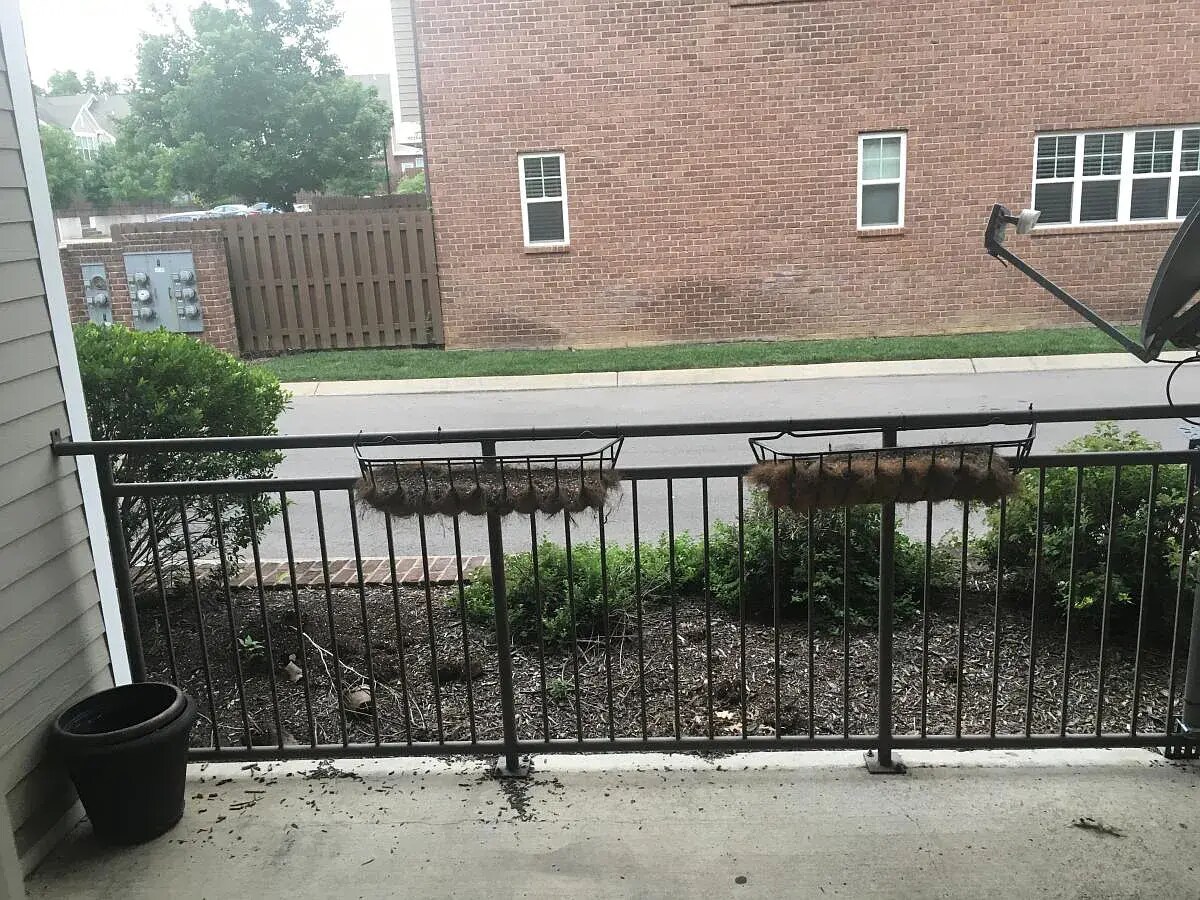 Back Patio - 2310 Elliott Ave