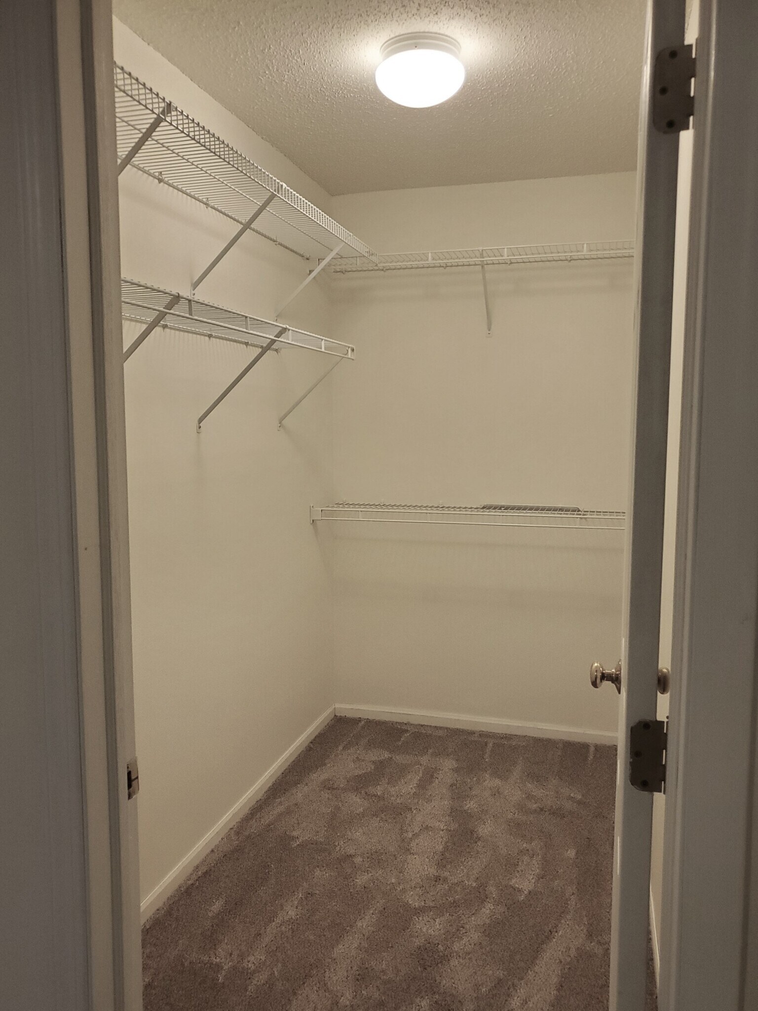 Building Photo - 10 Bridgewater Trl