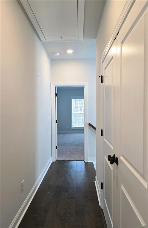 Building Photo - 163 Basil St