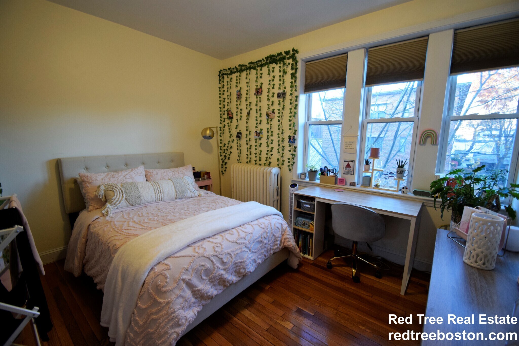 Building Photo - 62 Egmont