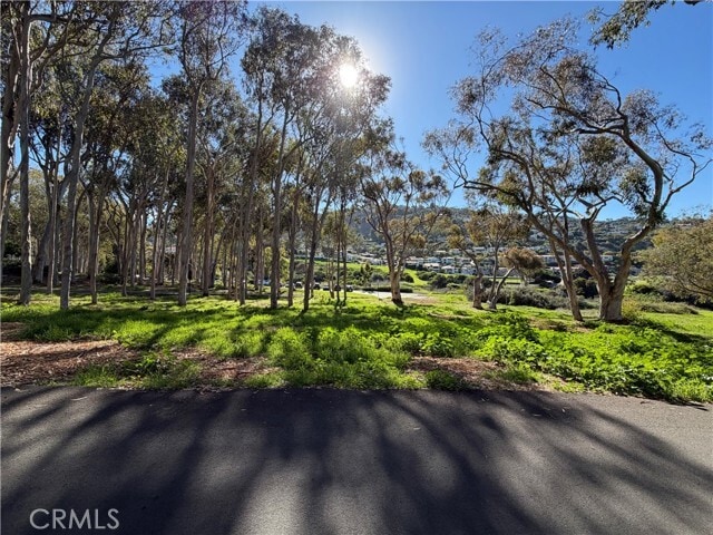 Building Photo - 639 Paseo De La Playa