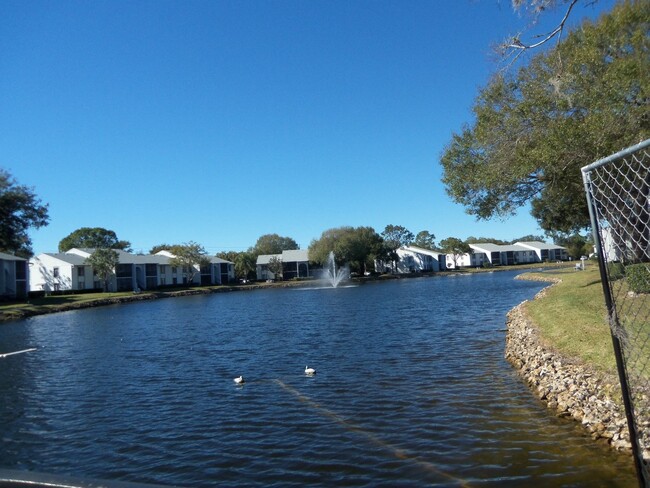 Building Photo - Pine Ridge at Lake Tarpon