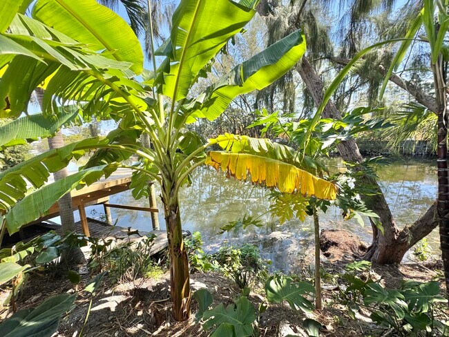 Building Photo - 1130 NE 18th Ave