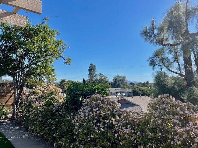 Building Photo - Beautiful 3B/2BA home with Washer/Dryer & ...