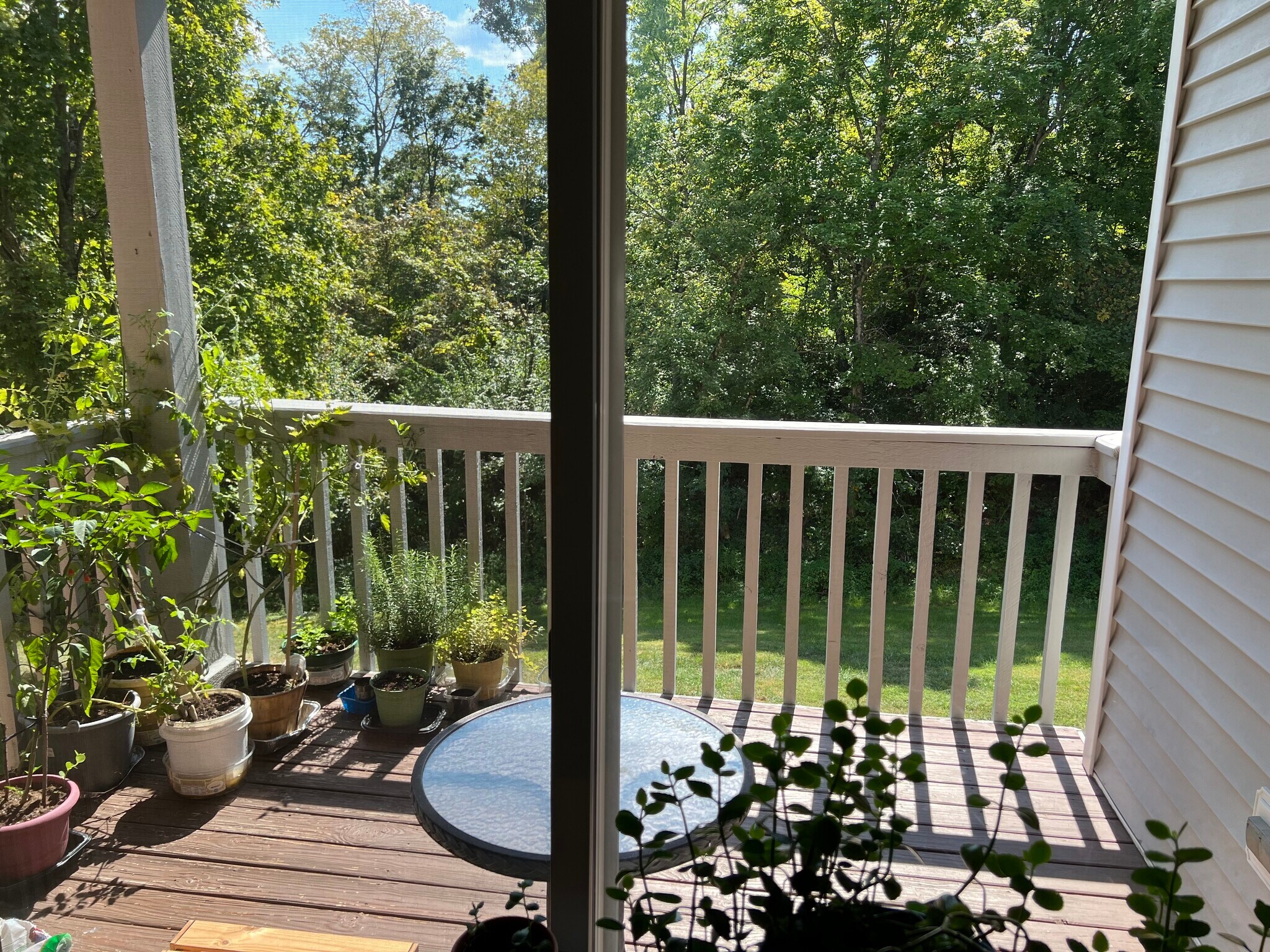 Patio - 7392 Ridgepoint Dr