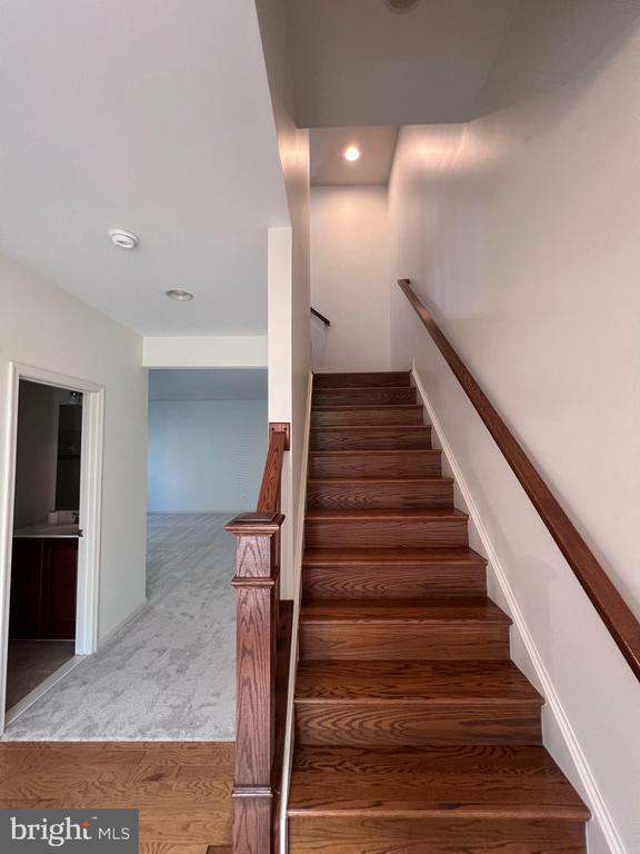 Building Photo - 22806 Breezy Hollow Dr