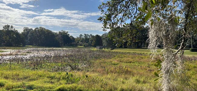 Building Photo - 3 bed/ 2 bath LAKE VIEW IN KILLEARN ESTATES!