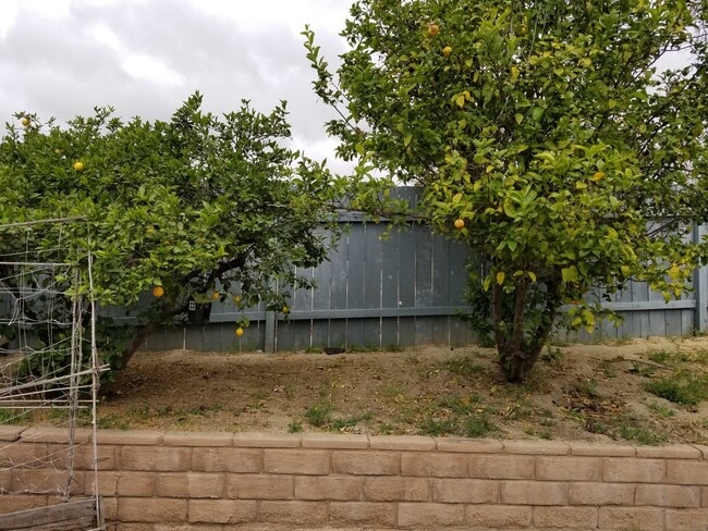 Building Photo - Charming Corner Single Story Home-Renovati...