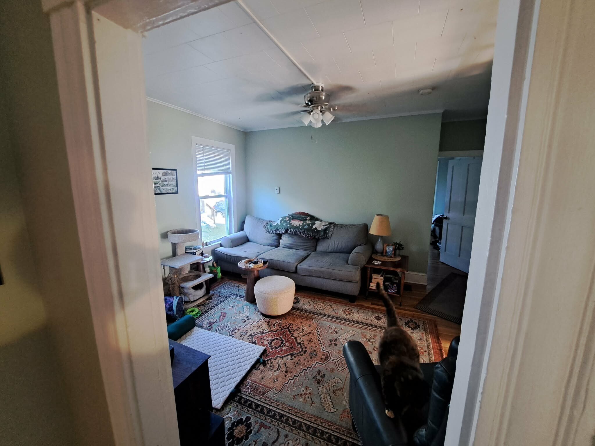 living room - 377 Pearl St