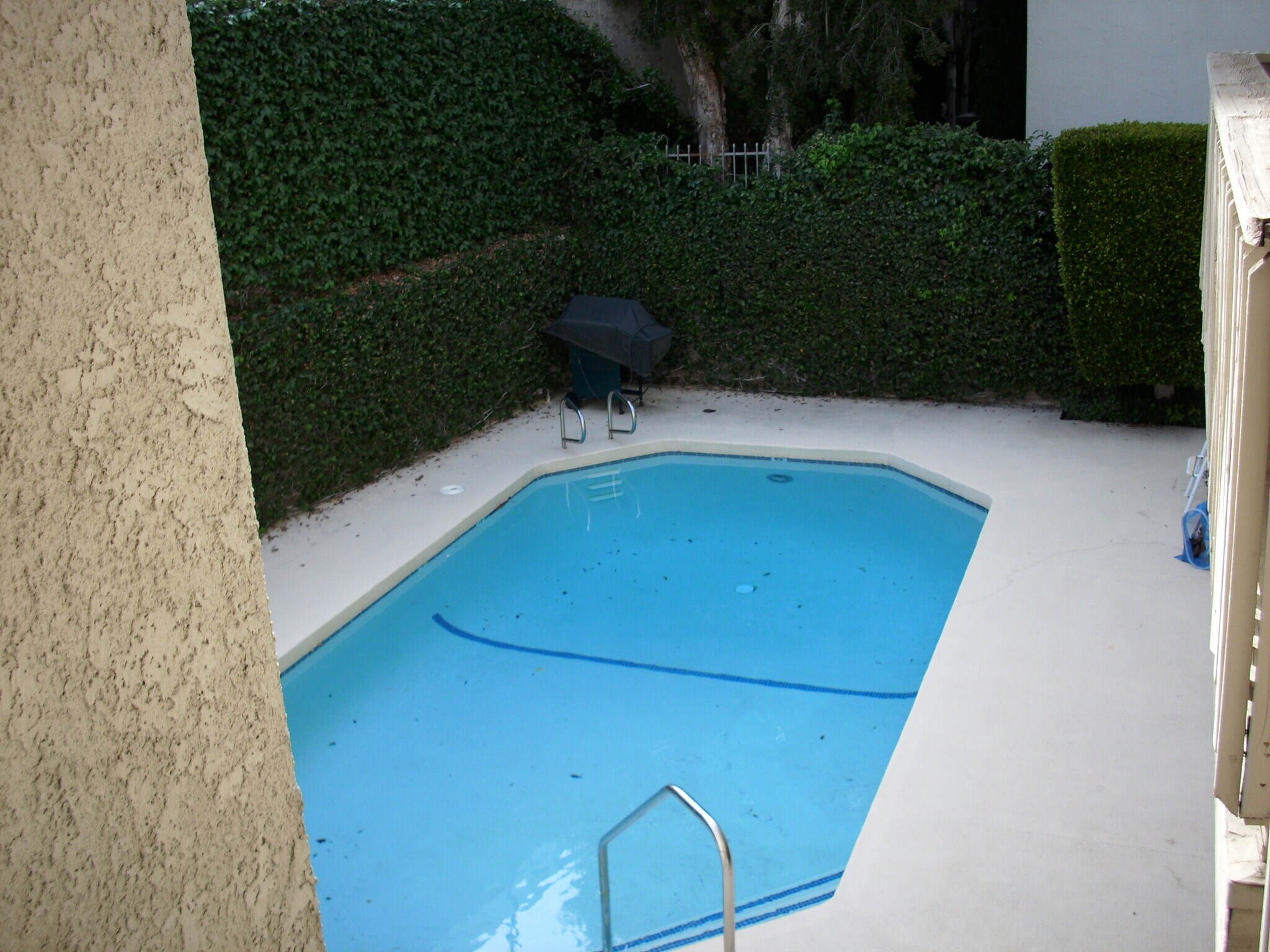 Pool, partial view - 16022 Moorpark St