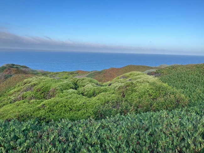 Building Photo - The Pearl of Pacifica