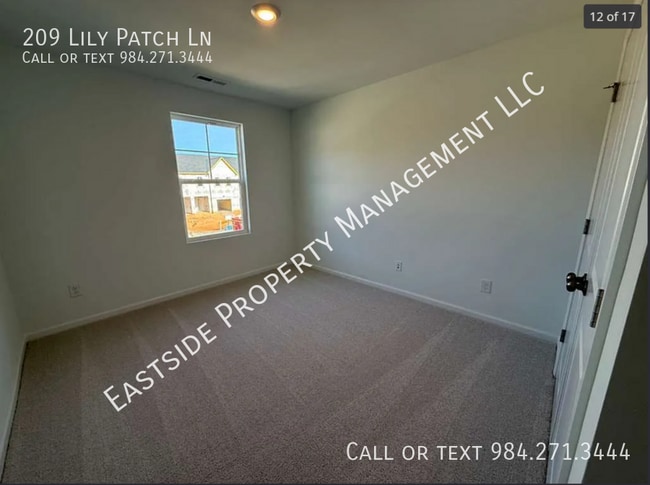 Building Photo - 209 Lily Patch Ln