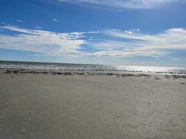 Building Photo - 801 E Beach Dr