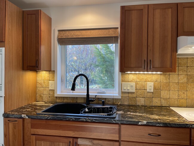 Granite Composite Double Sink with Soap Pump - 336 Chunns Cove Rd