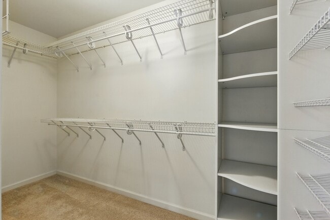 Building Photo - 2513 Holly Springs Ct