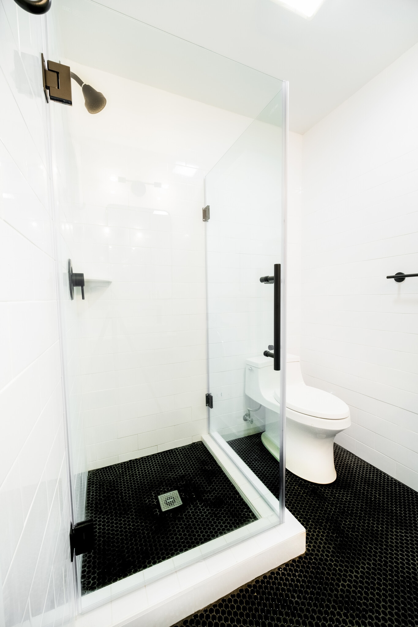 Bathroom Shower and Toilet - 420 College Blvd