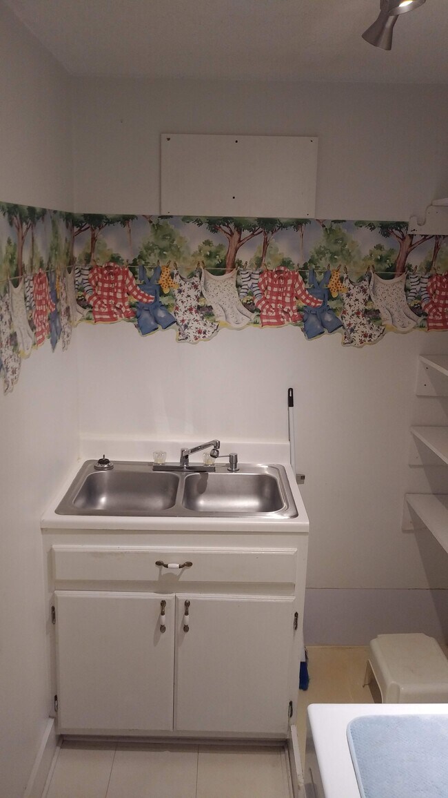 Laundry Sink - 112 N Division St