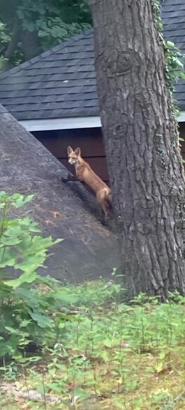 Building Photo - 126 Plainview Rd