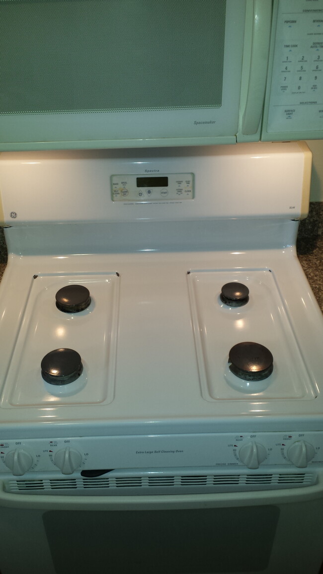 stove (grates removed) - 6264 Longford Dr