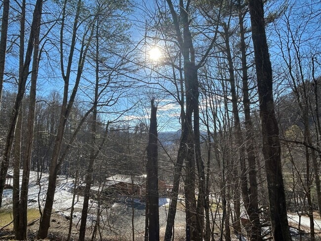 Building Photo - Spacious 3BR Sugar Grove Home with Deck, Fenced Yard & Two Bonus Rooms