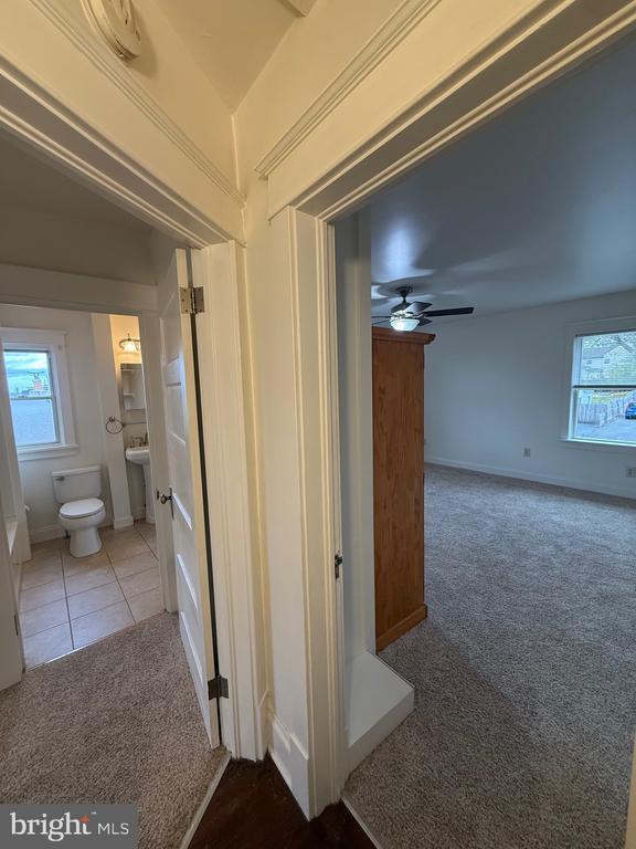 Building Photo - 1740 Arnold Ave