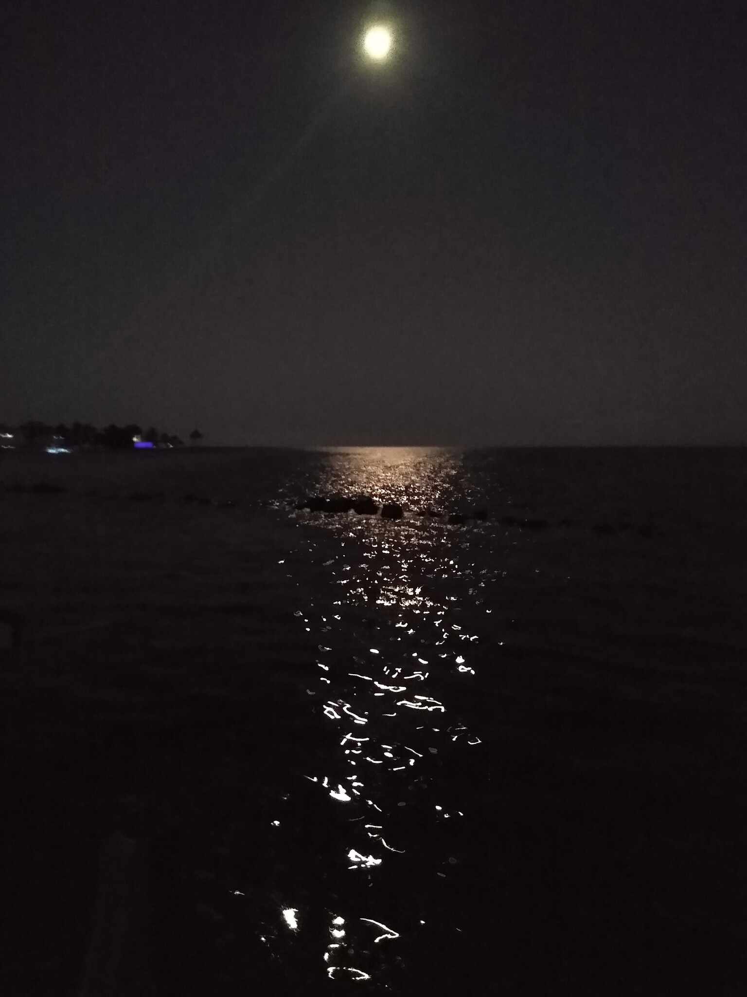Moonglow. - 159 Dubonnet Rd