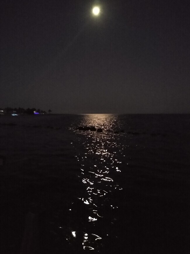 Moonglow. - 159 Dubonnet Rd