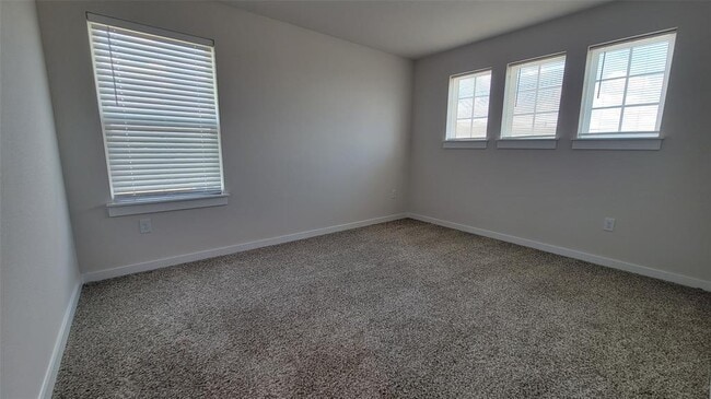Building Photo - 429 Tinto St