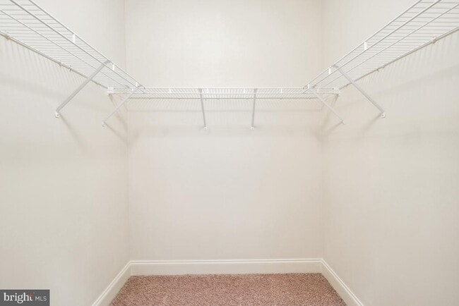 Building Photo - 5106 Shamrocks Delight Dr