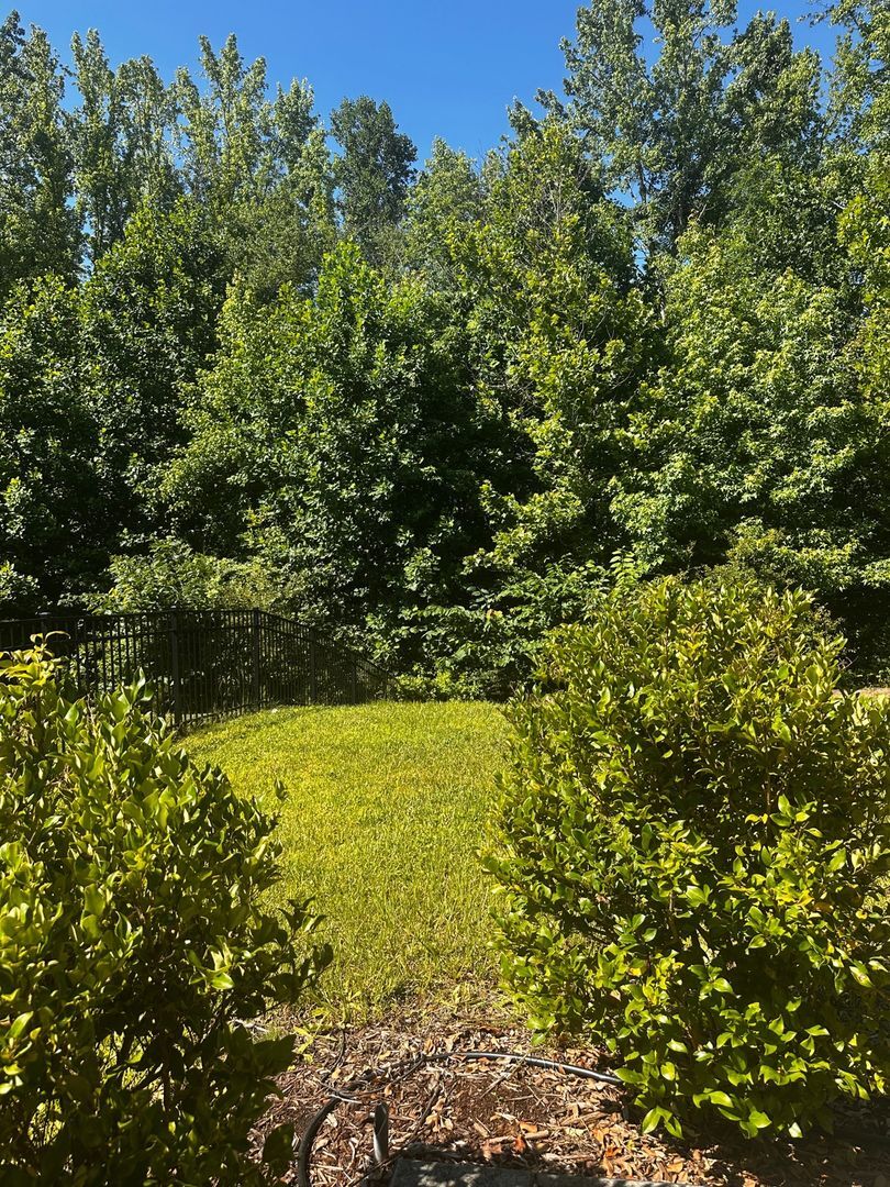 Building Photo - 3851 Longmore Ln