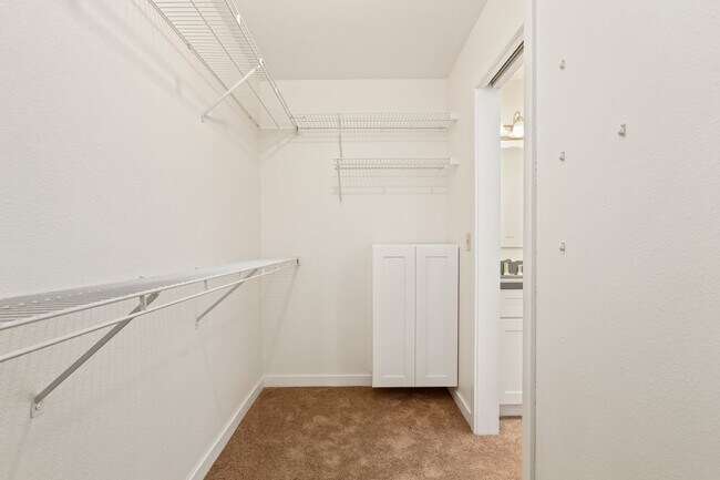Building Photo - Beautiful Renovated Four Bedroom House for...