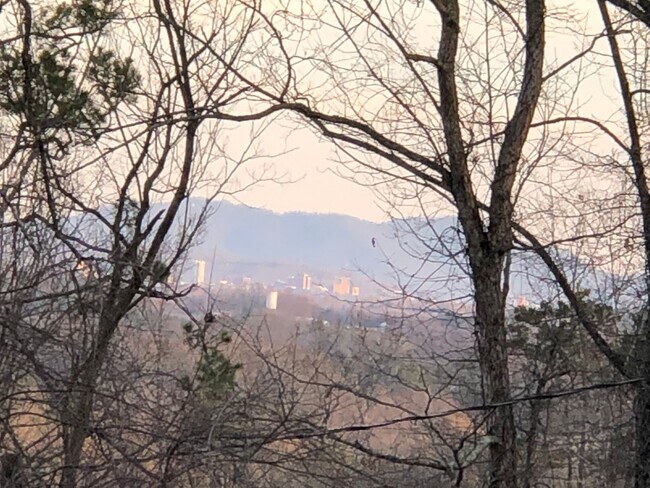 Building Photo - Adorable 2 Bedroom with Amazing Mountain Views!