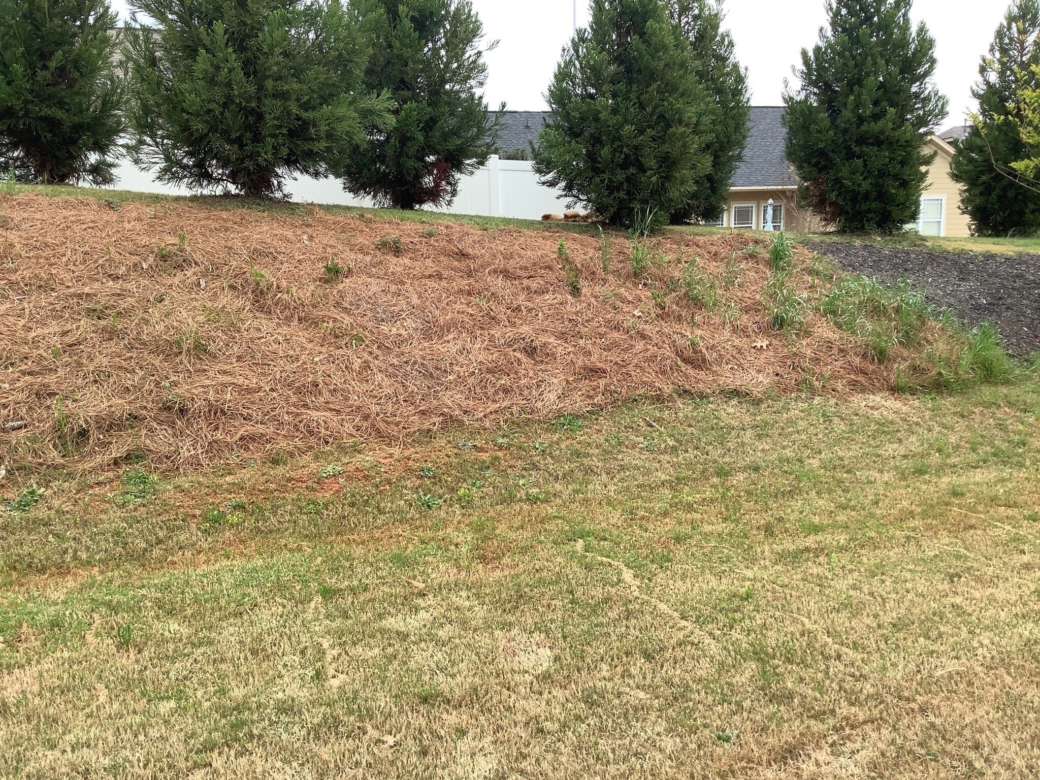 Building Photo - 125 Bur Oak Dr