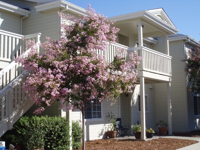 Building Photo - Beautiful Downstairs 2 Bedroom 2 Bath looking out to the Sonoma Creek!