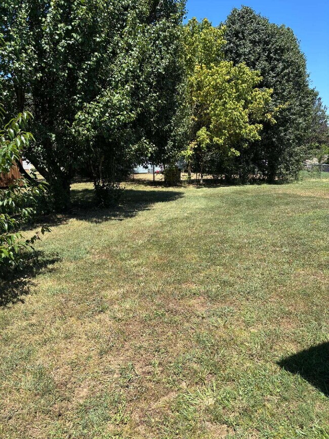 Building Photo - "Charming 3-Bedroom Home with Cozy 987 Sq Ft Living Space in Oak Grove!"