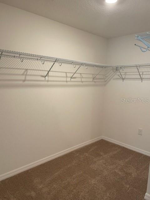 Building Photo - 11244 Cay Spruce Wy