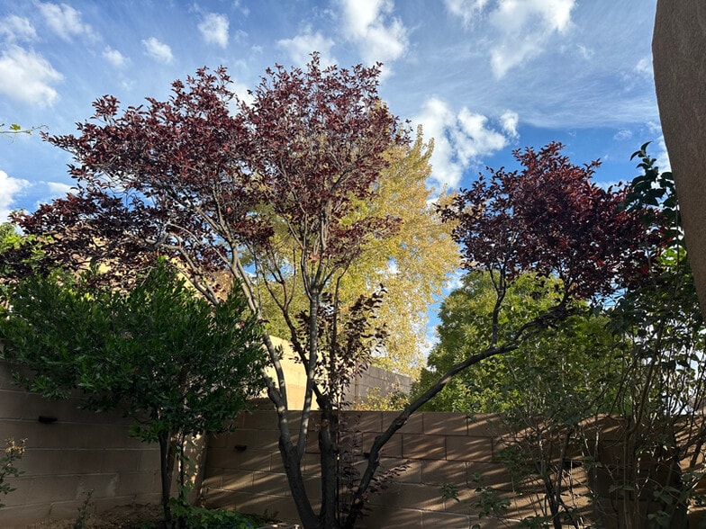 Building Photo - 10215 Marin Dr NW