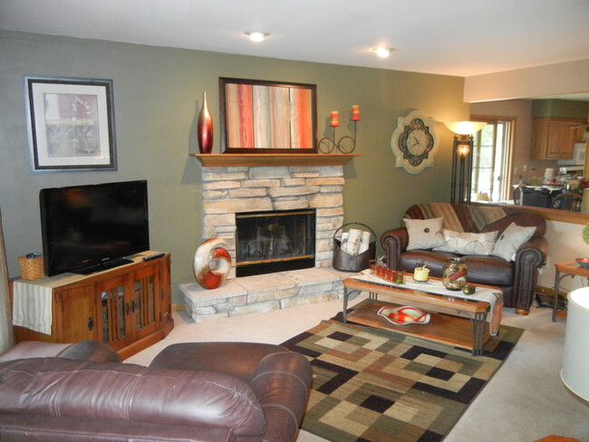 Family Room - Natural Fire Place - 120 Hilly Oak Dr