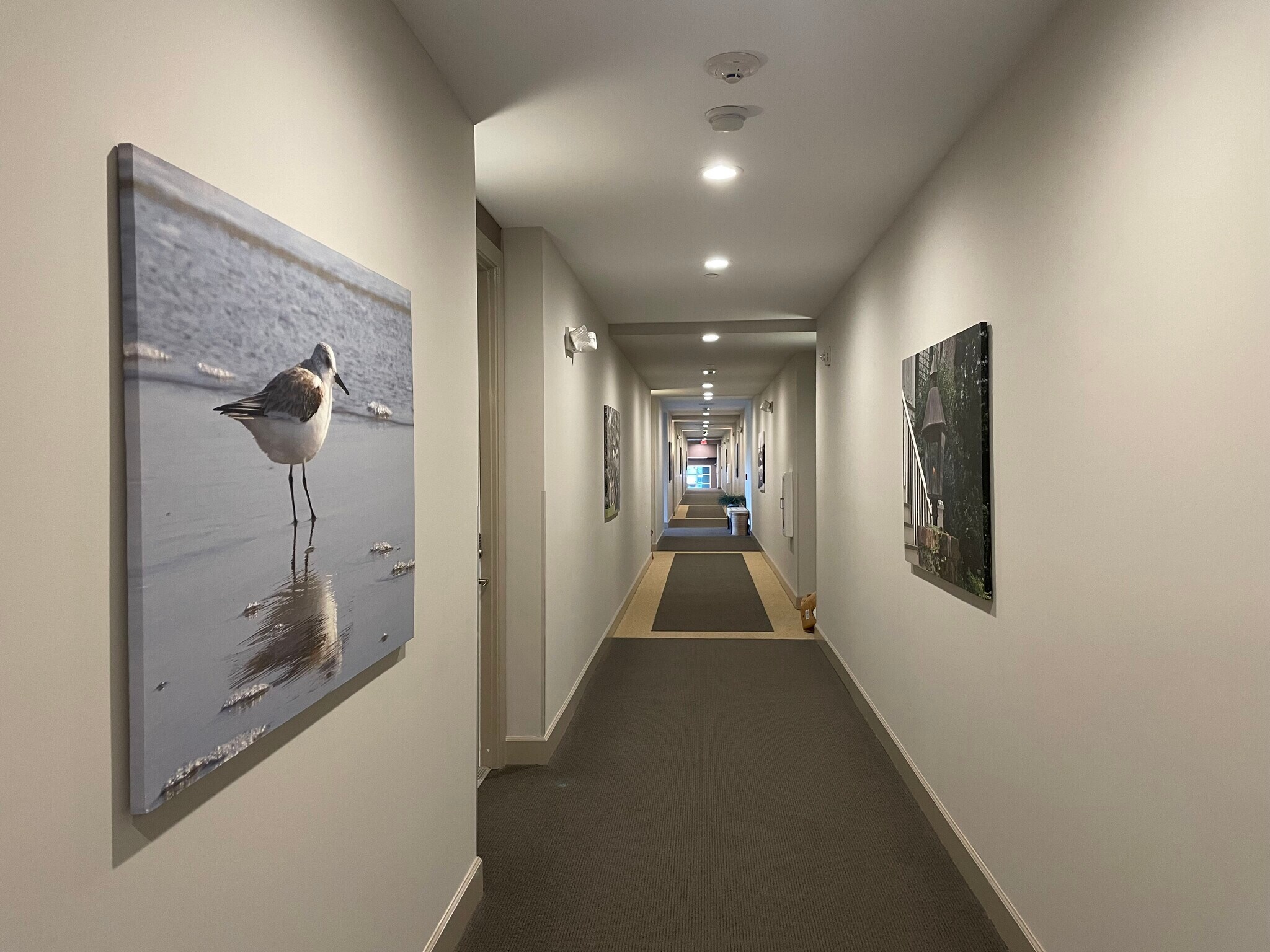 Admiring the best icons of Charleston on the way to Unit 114 - 145 Pier View St