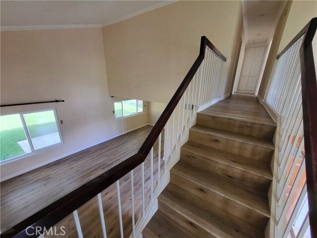 Building Photo - 3 Redrock Ln