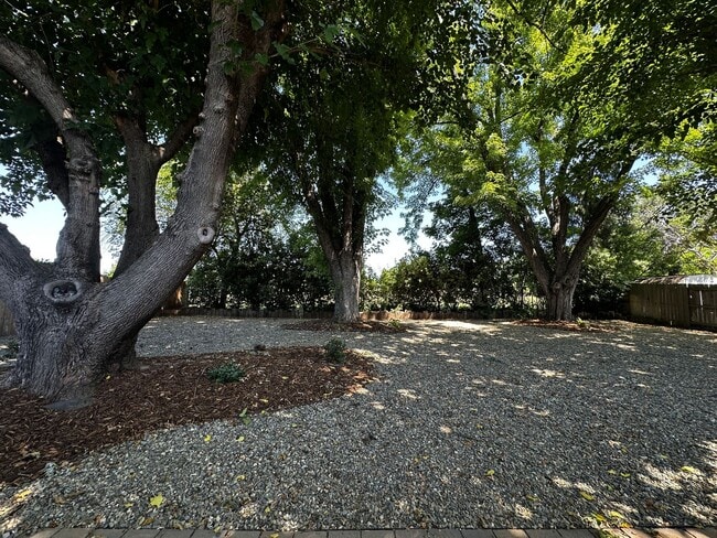 Building Photo - Remodeled Vintage home just 1 block from t...