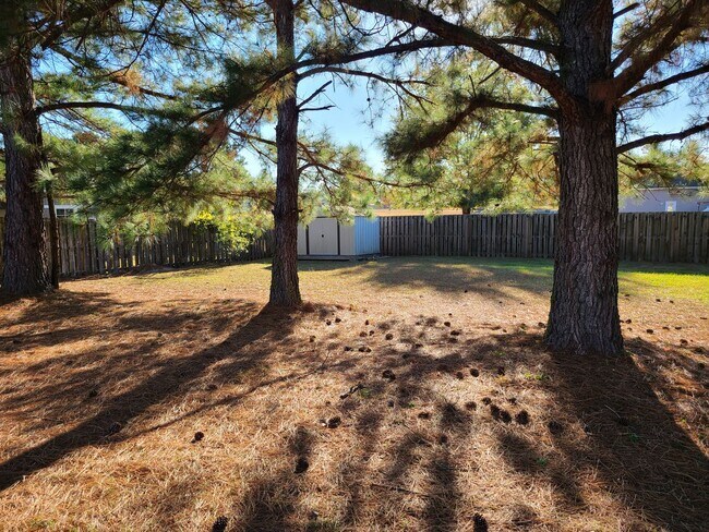 Building Photo - 3 Bed, 2 Bath Unfurnished home in Hampstead - Cross Creek Community
