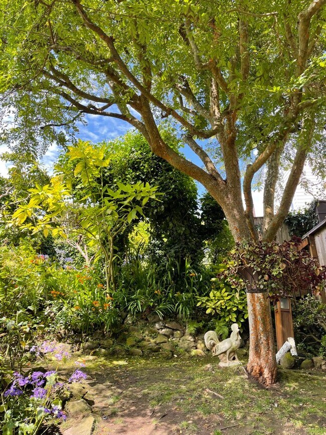 Building Photo - Marina Hacienda
