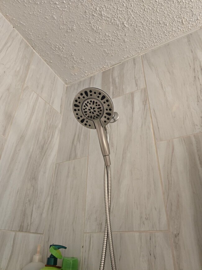 Building Photo - 4812 Spring Meadow Cove