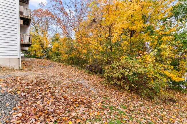 Building Photo - 23 Shirley St